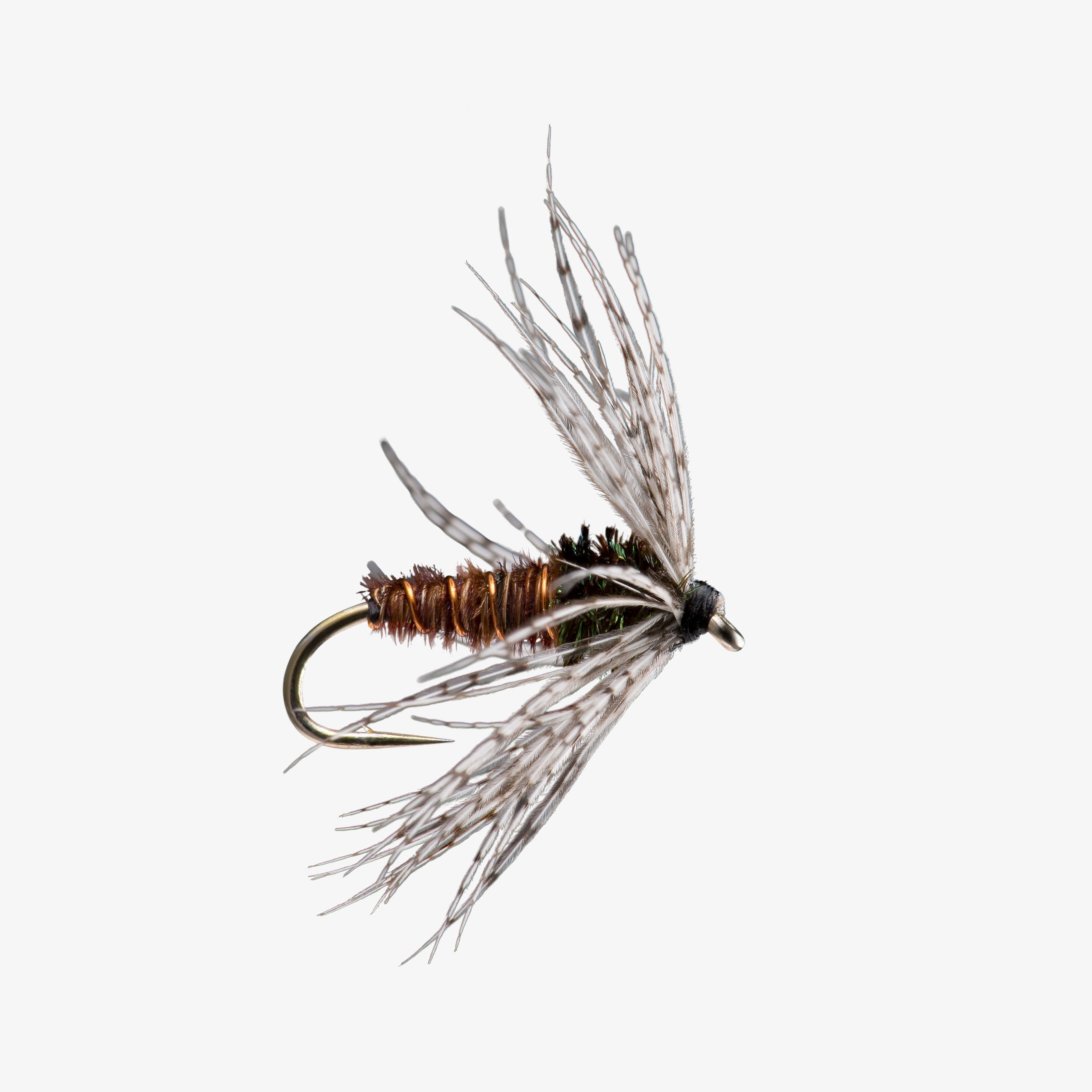 Partridge Soft Hackle (6-Pack)