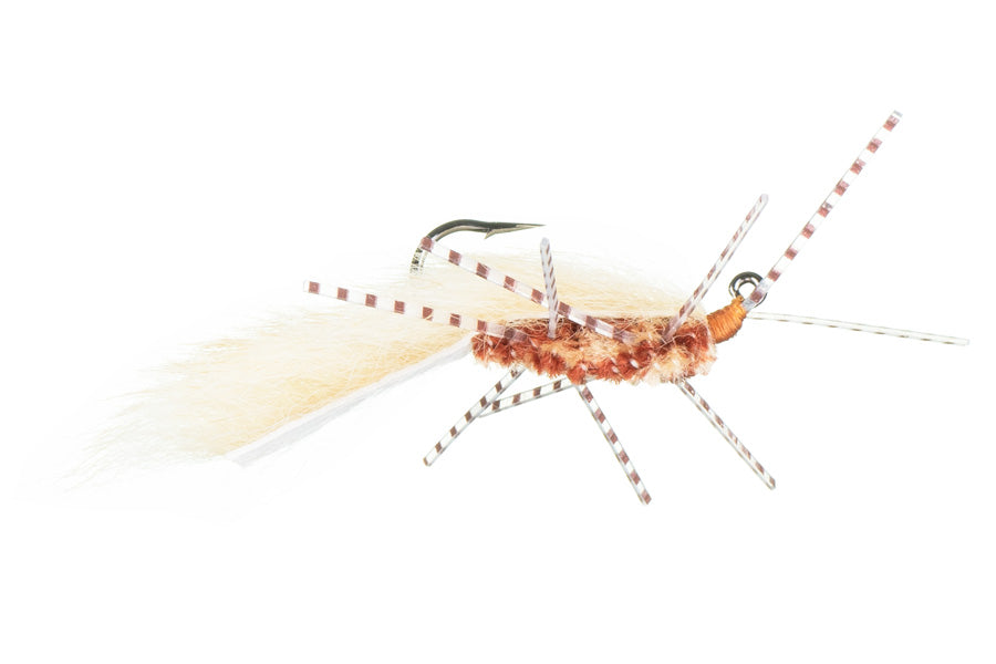 Jig Squirdle (6-pack)