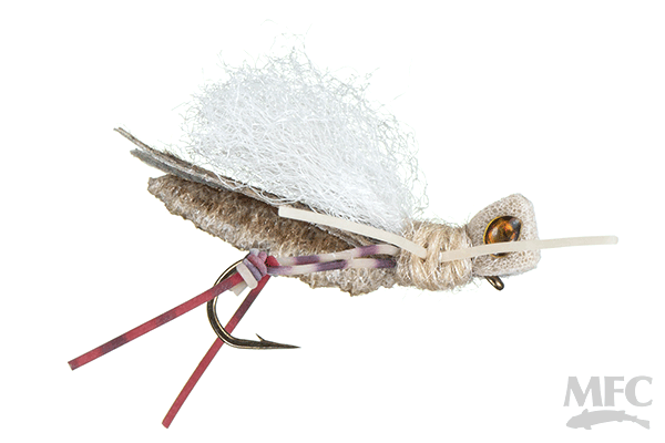 Trina's Carnage Hopper (6-pack)